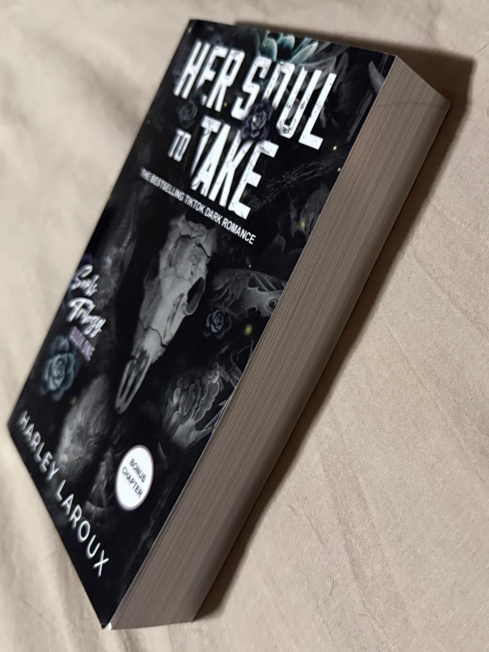 Her Soul to Take by Harley Laroux